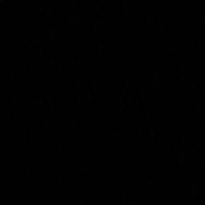 Meet your Posher, Jax